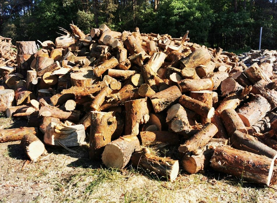 Drewno sosna kominkowe świerk opałowe brzoza