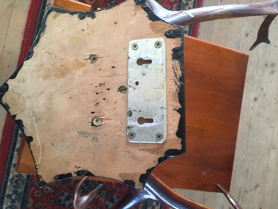 Роги оленя північного