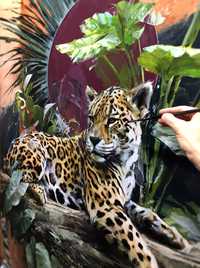Інтер'єрна картина "Jaguar"