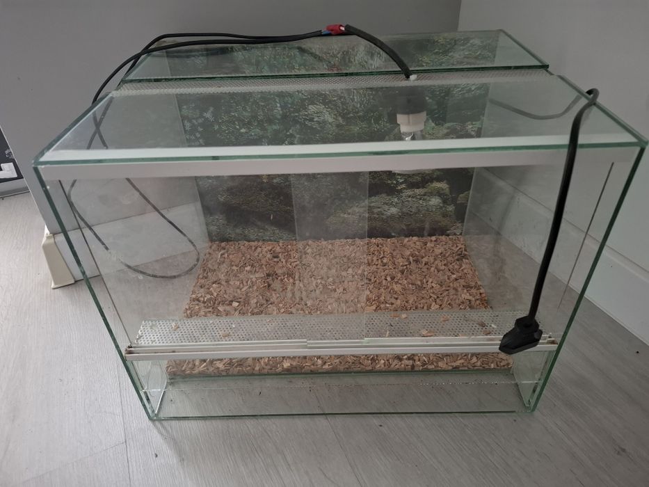 Terrarium 40x30x30