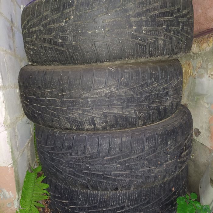 Шини nokian 225/65 R17