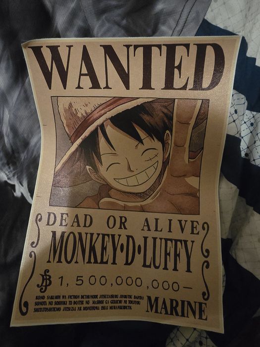 Conjunto de one piece luffy