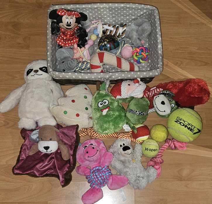 Essencias para cães