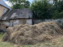 Słoma oddam za darmo