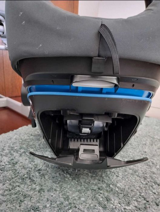 Ovo para passeio/auto