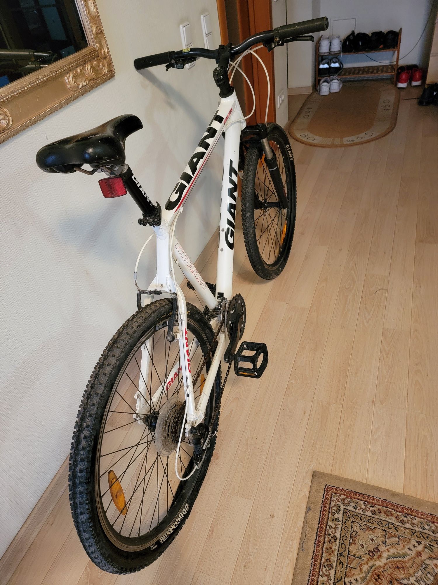 Giant Rincon aluxx sl 6000