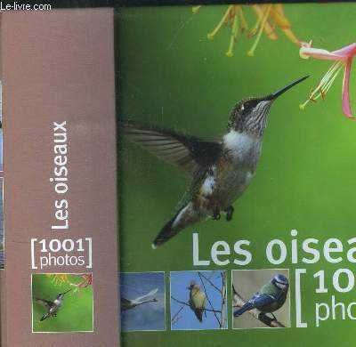 Les Oiseaux 1001 Photos  original