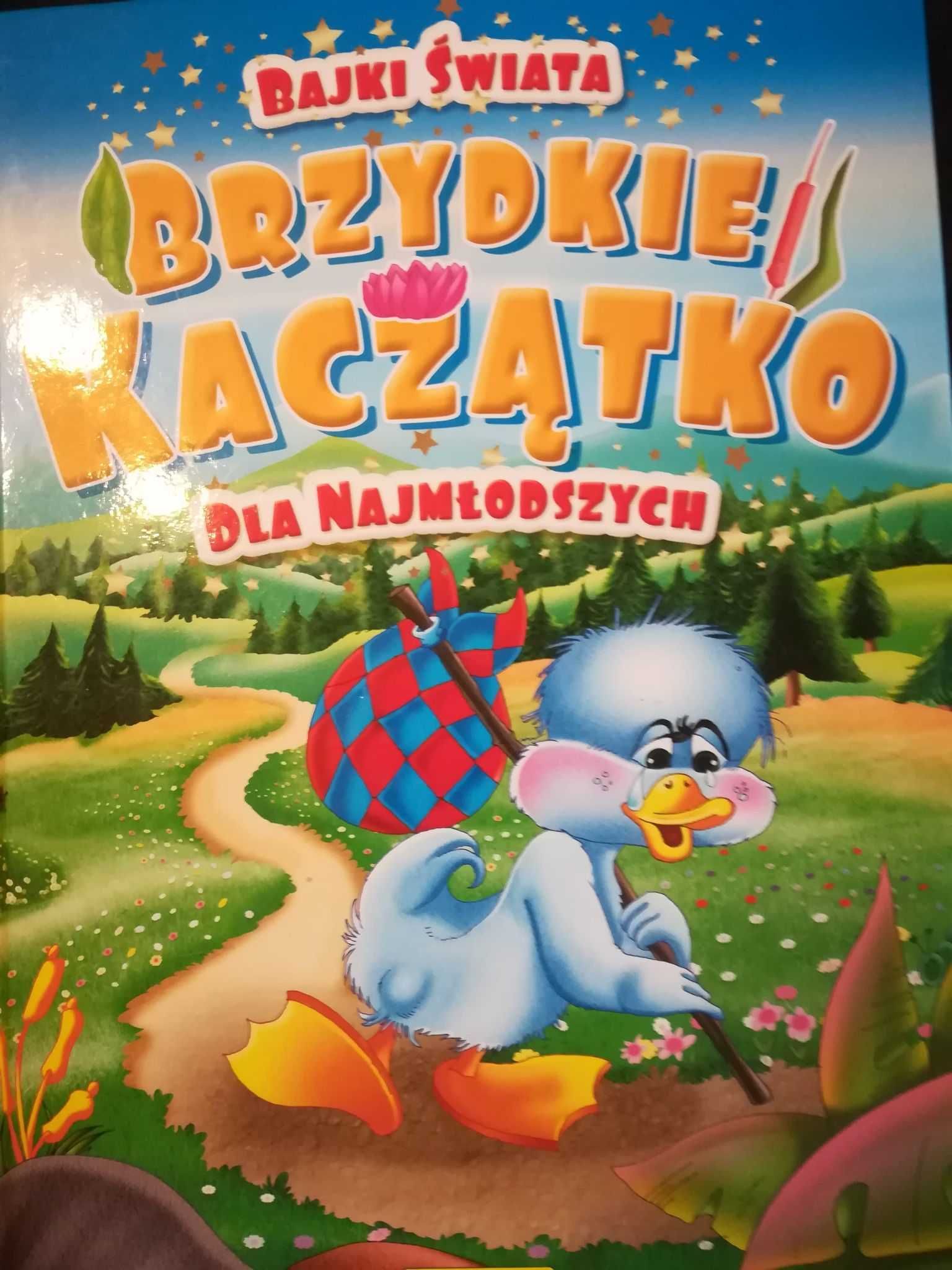 Zestaw książek format A4 twarda oprawa.