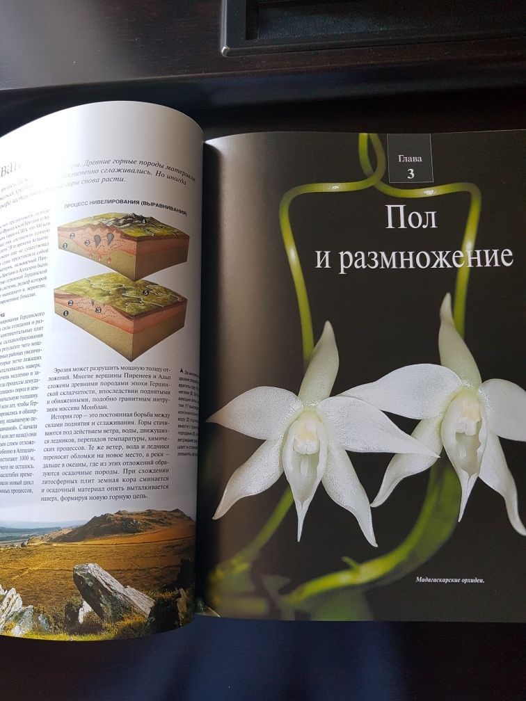 Книга Удивительная жизнь природы.