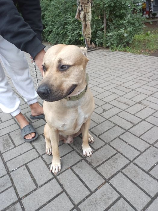 Шукаю дівчинку для в,зки