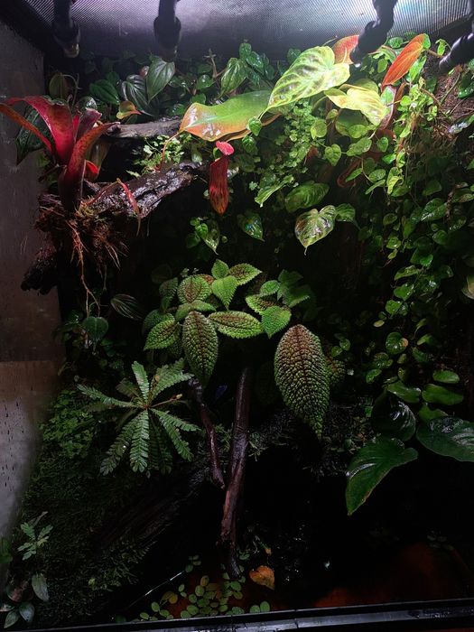 Paludarium / Terrarium / Vivarium Repti Planet 45x45x60