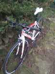 Cannondale SYNAPSE Women Tiagra  Fitnesbike  27Speed Roz. 48cm