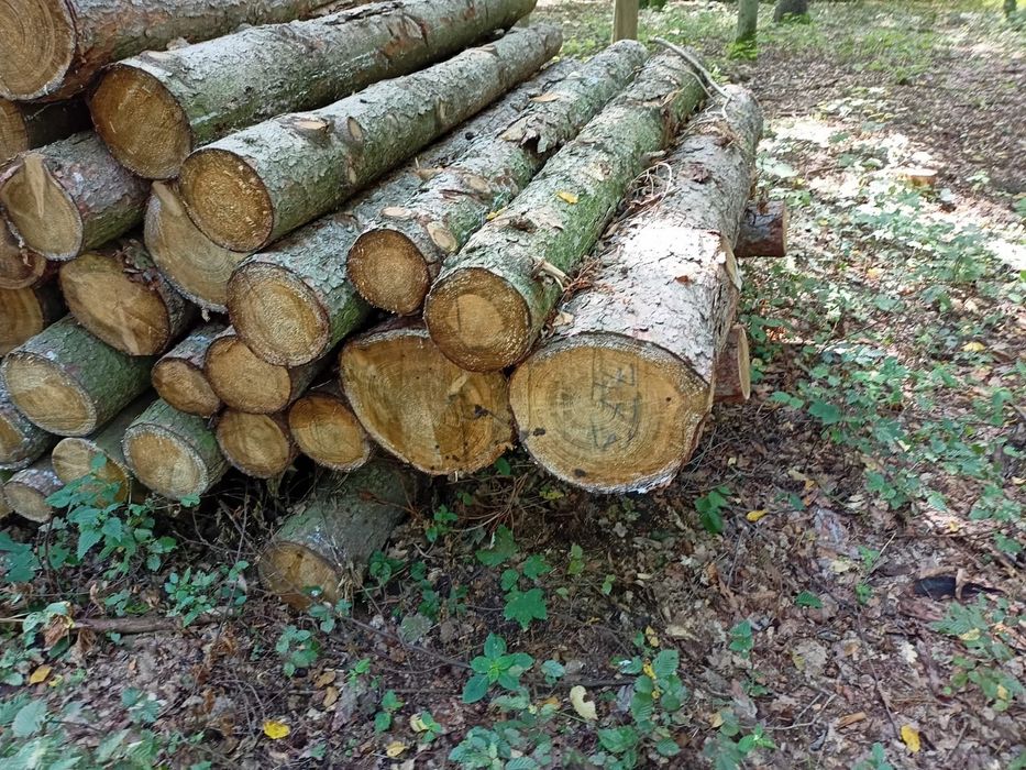 Drewno opałowe.. transport gratis!!!