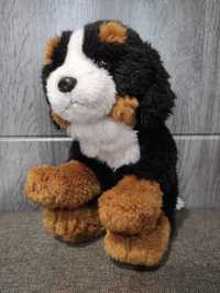 Игрушка собака бернский зенненхунд, берн, собачка песик іграшка 26 см