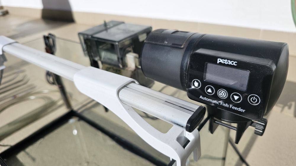 Aquário com kit de água quente e plantas