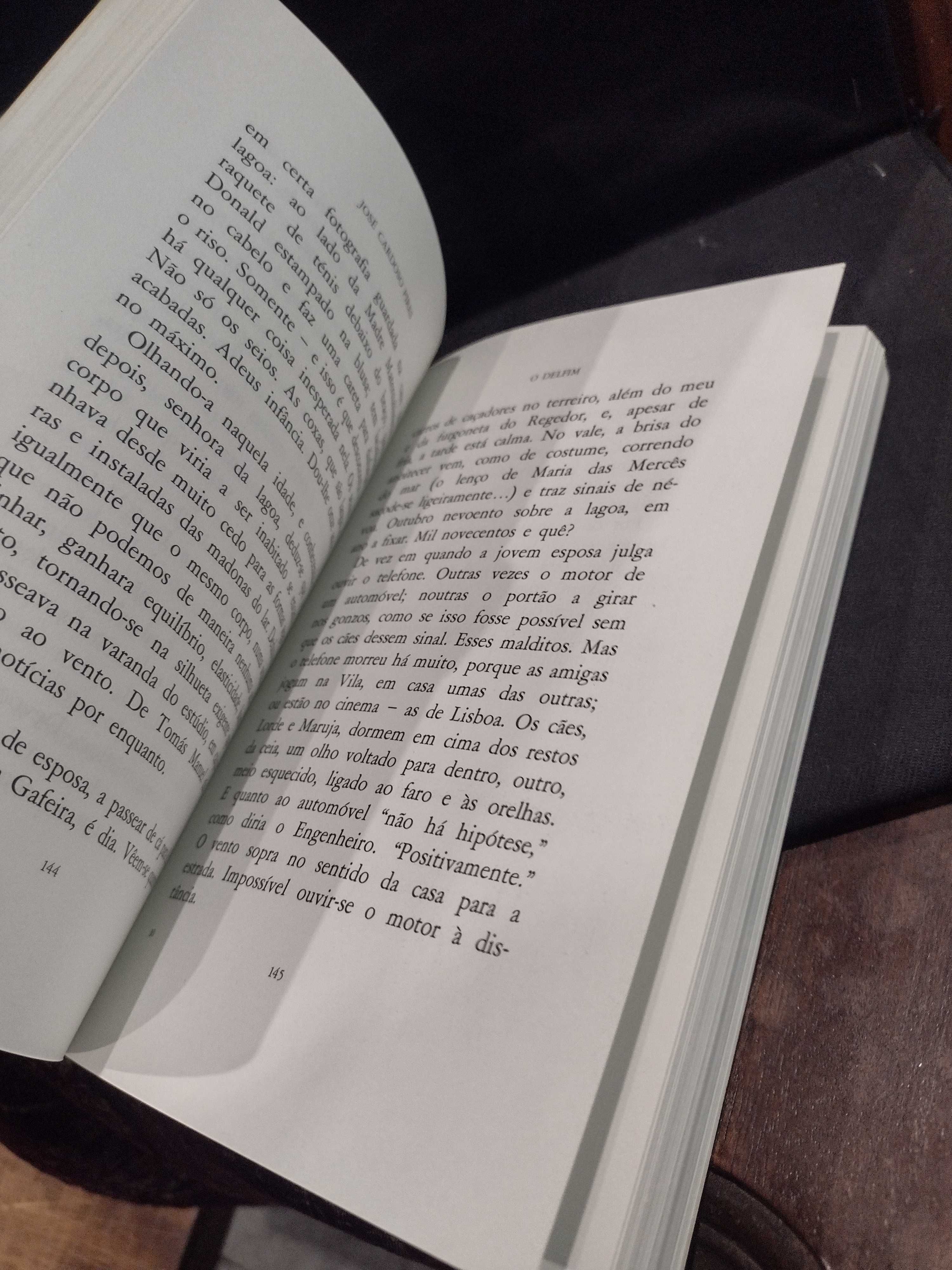 O Delfim - José Cardoso Pires