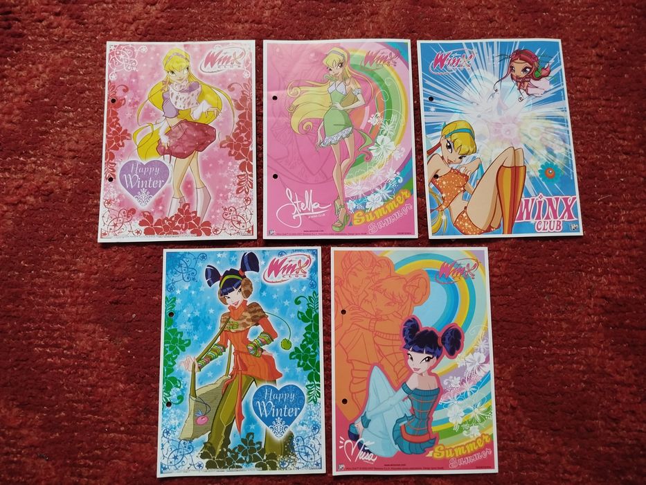 Winx karteczki do segregatora