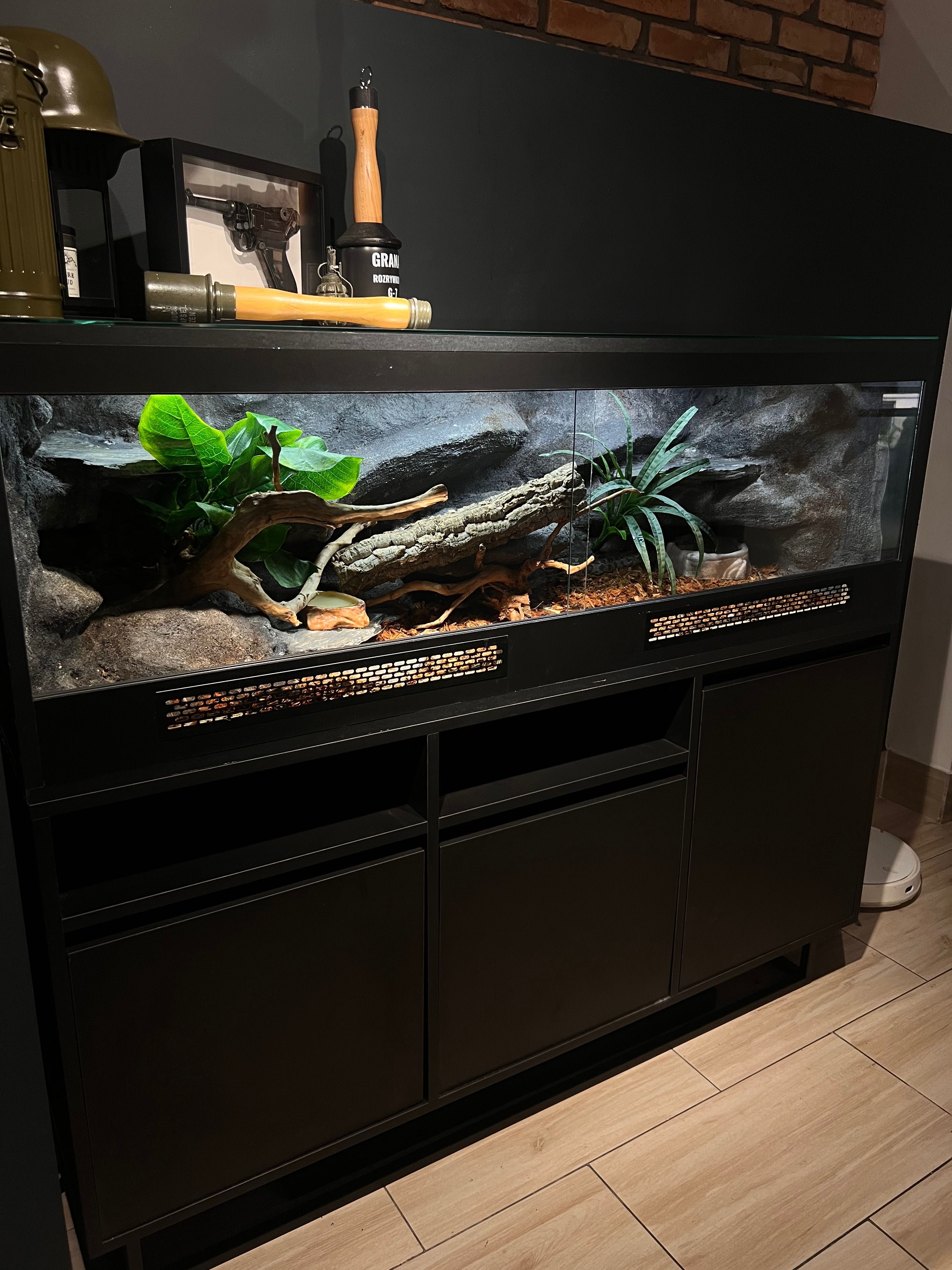 Terrarium dla węża