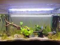 Aquário 170L. Com armário.