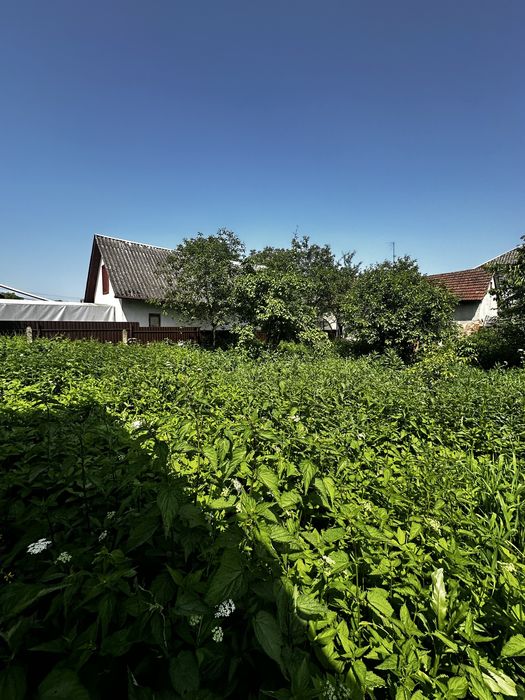 Продаж будинок 80 кв. м  з землею 7 соток м. Жидачів