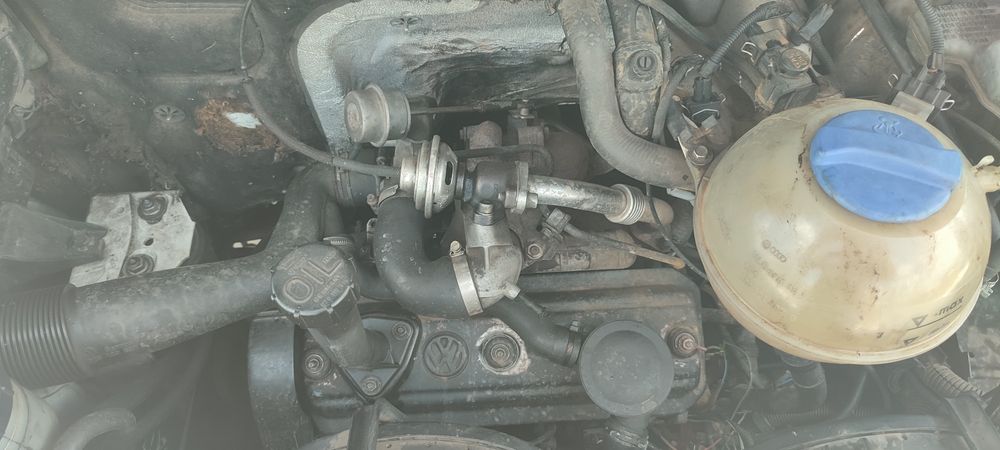 Volkswagen T4 не розмитнений