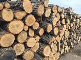 В продажу дрова для опалення. Опт/Роздріб