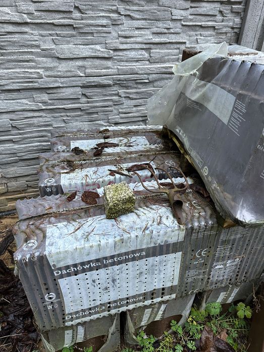 Dachówka cementowa BRAAS 200m2 okazja!!!