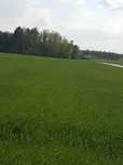 Działki budowlane