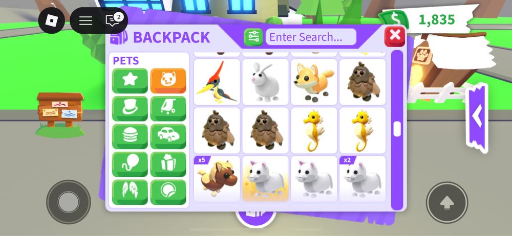 Pety adopt me roblox pets