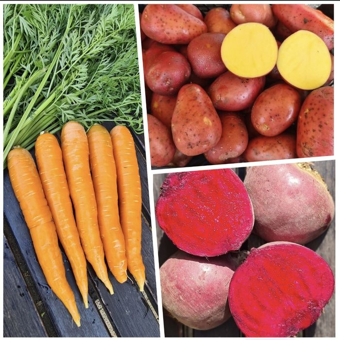 Zestaw warzyw 24kg z wysyłką bezpośrednio od rolnika