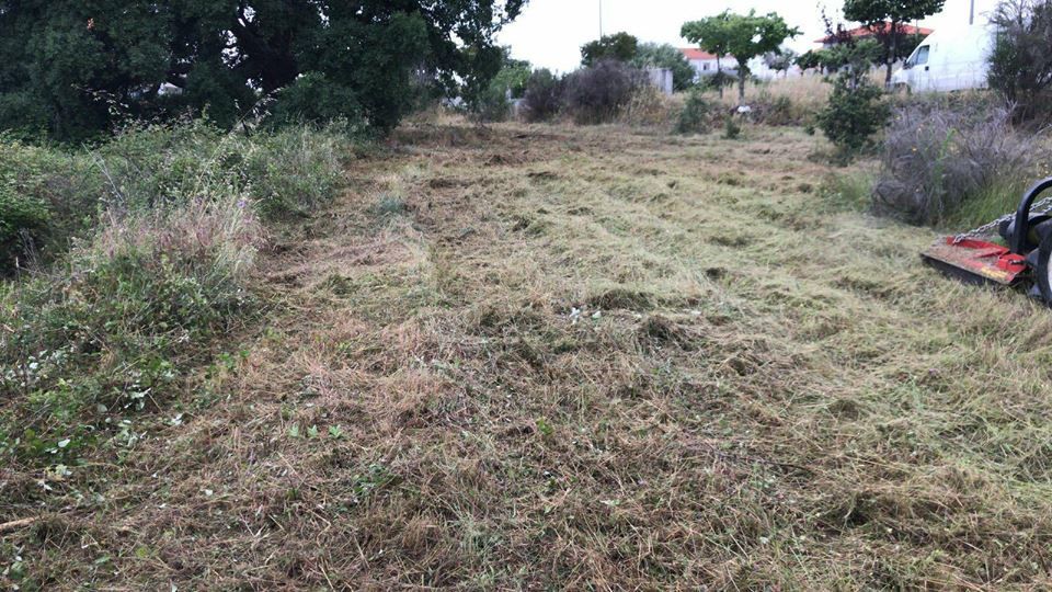 Limpeza de terrenos / lavoura e preparação de terrenos/Abate Árvores