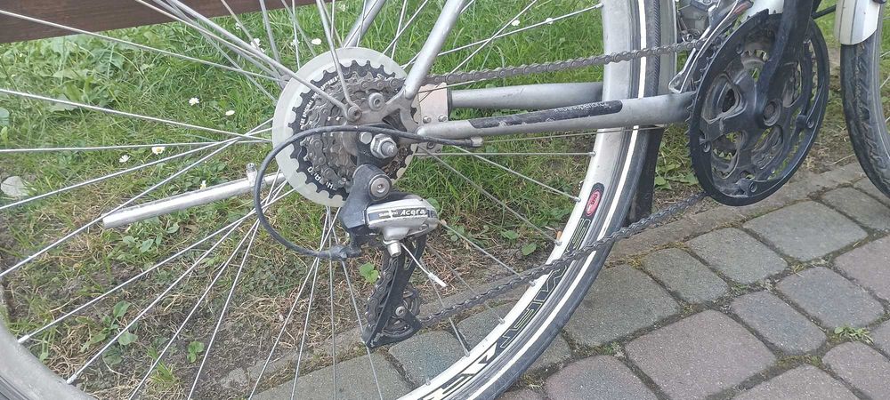 Rower miejski / turystyczny Superior Flamingo