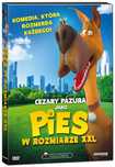 Pies w rozmiarze XXL, DVD. AlterDystrybucja. Nowy Produkt