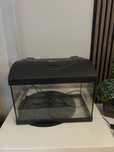 Alwarium 40l z filtrem