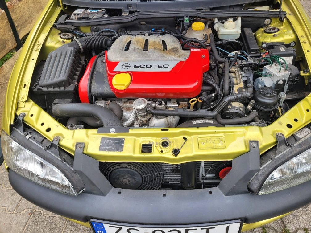 Opel Tigra- wersja Exclusive