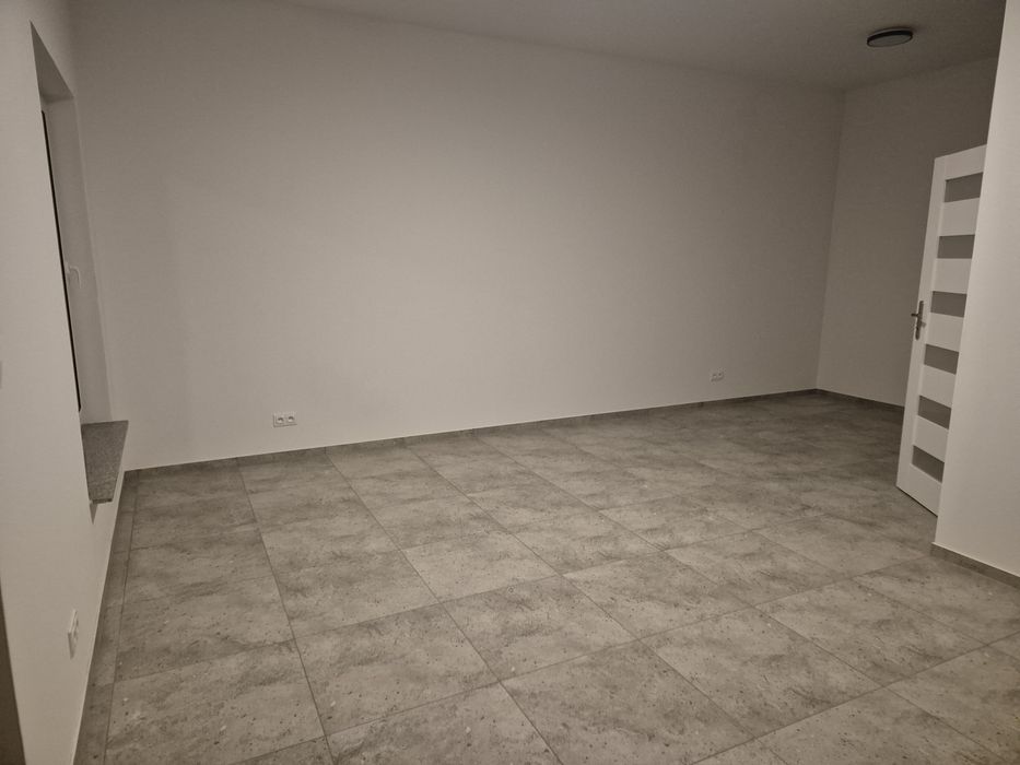 Lokal na wynajem Żmigród