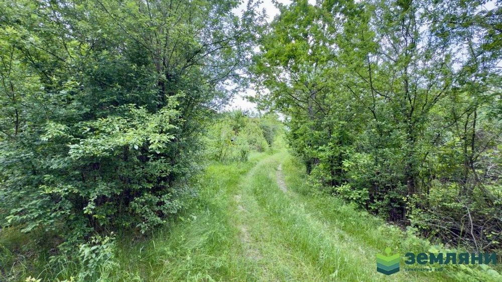 Продається земельна ділянка с.Братківці (7)