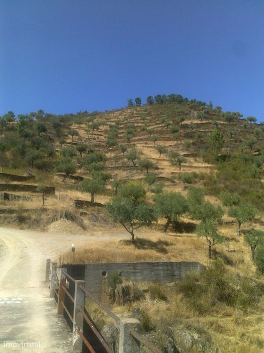 Conjunto 4 terrenos em Castelo Branco: 2 Retaxo + 2 Sarnadas de Rodao