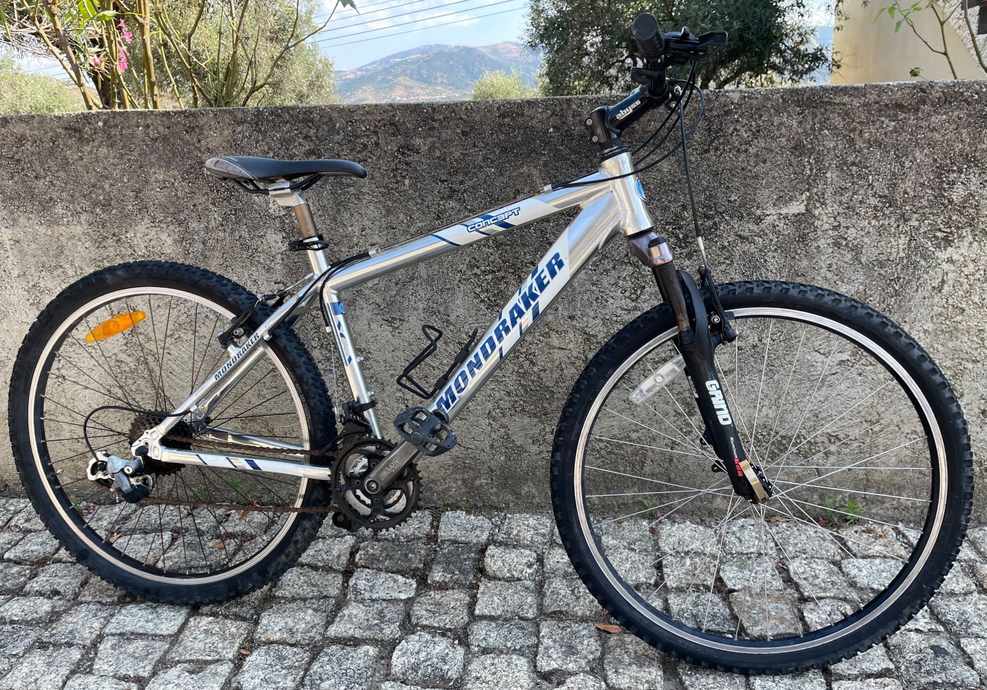 Bicicletas variadas