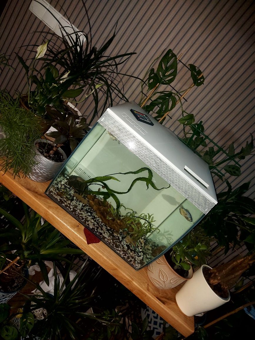 Sprzedam Akwarium Fluval