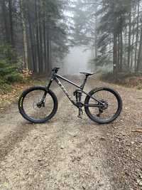 Trek remedy 8 2022