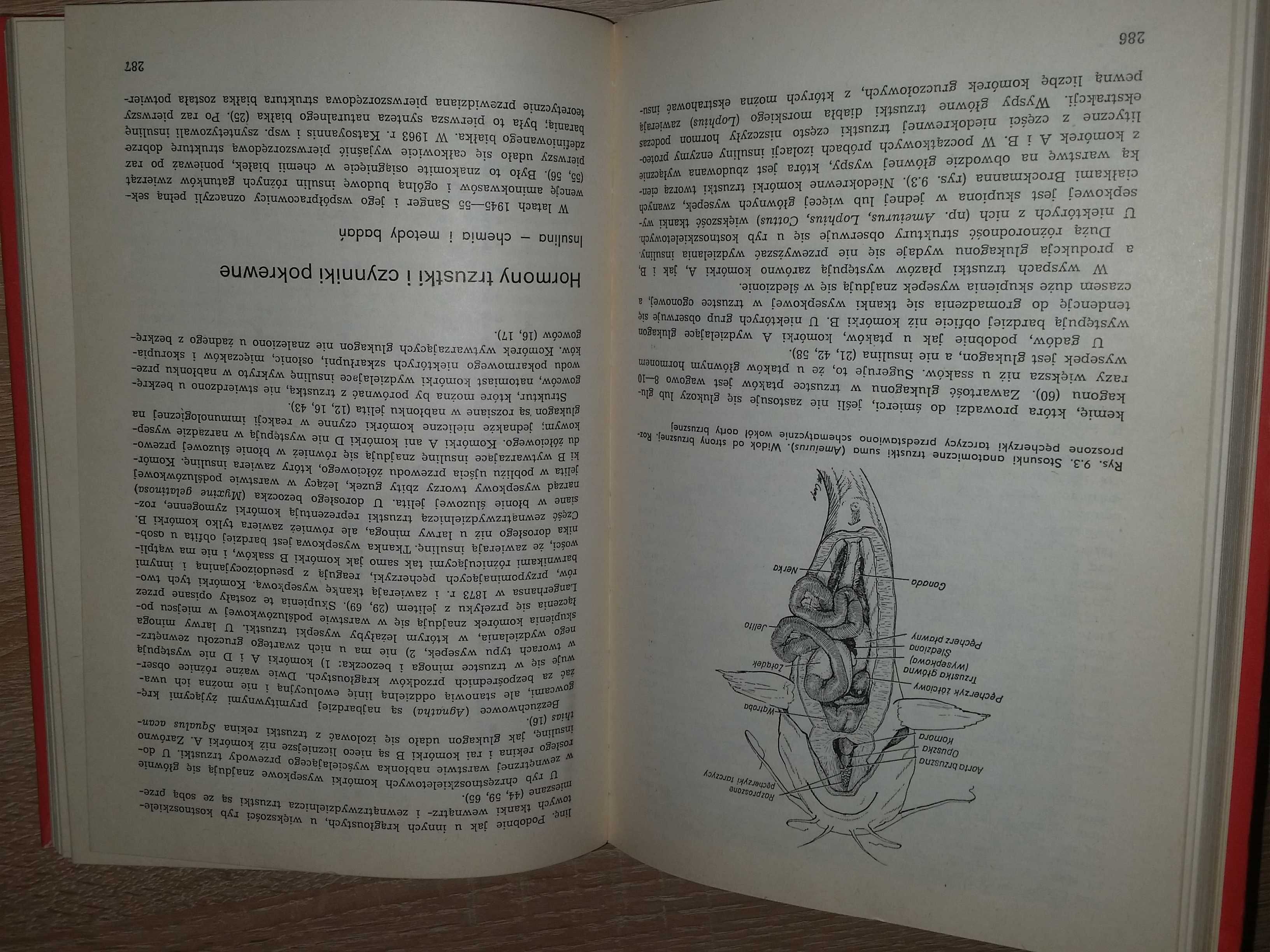 Endokrynologia ogólna Turner Bagnara unikat weterynaria biologia