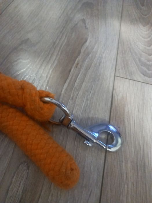 Linka, jantar, jazda konna