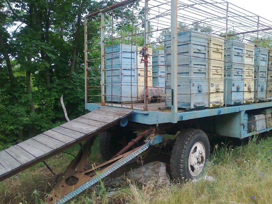 Павильйон для перевозки пчел .