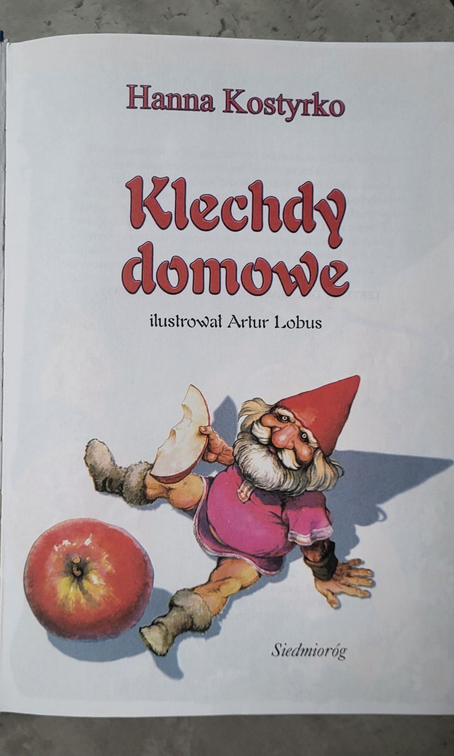 Klechy domowe Hanna Kostyrko książka dla dzieci