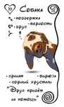 Карты Ленорман «День»