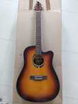 Gitara Akustyczna Flycat C100 TSB - Nowa/Wyprzedaż Magazynowa