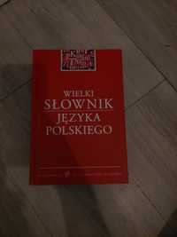 Wielki słownik języka polskiego KWN