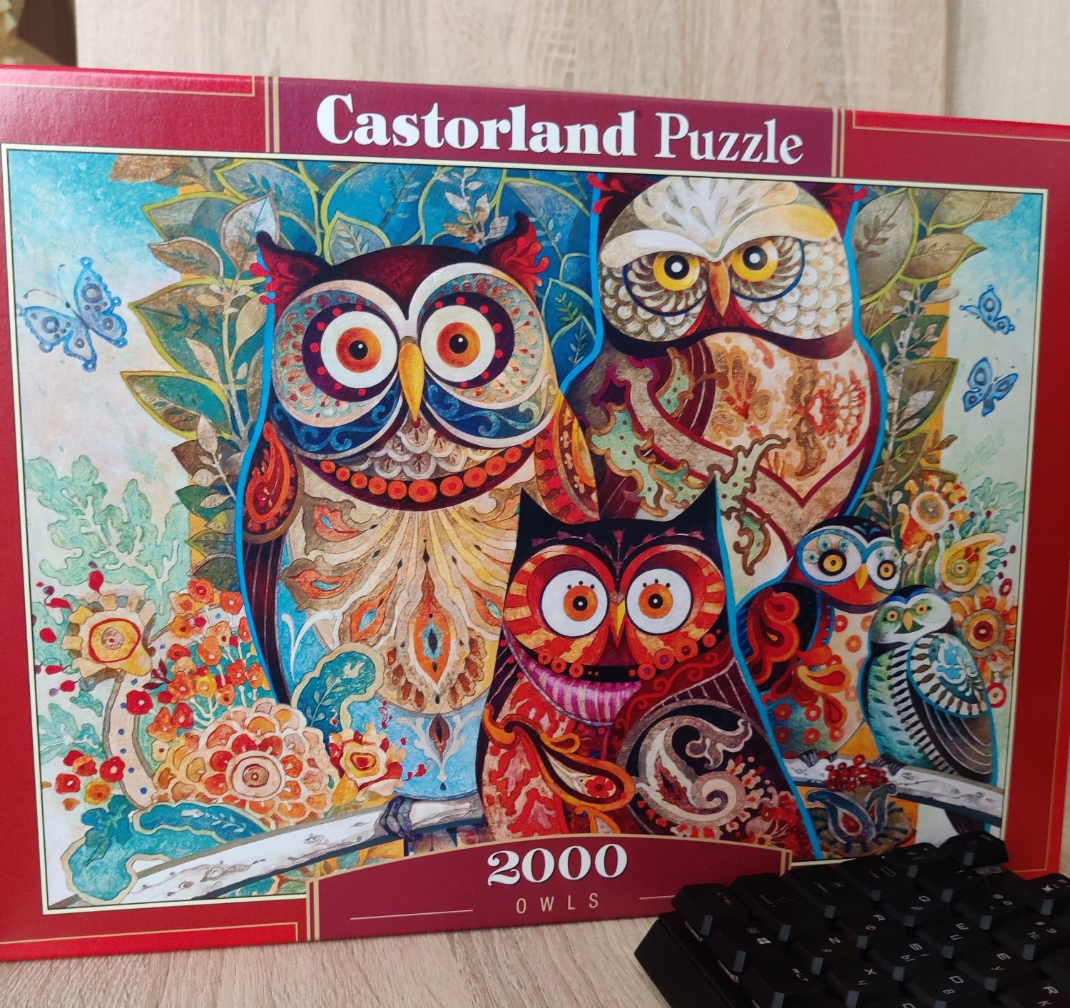 Пазл Castorland Owls, 2000эл