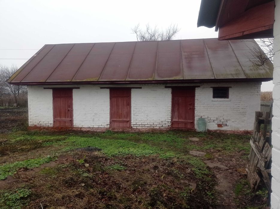 Капітальний будинок в с. Товстоліс 8 км від Чернігова